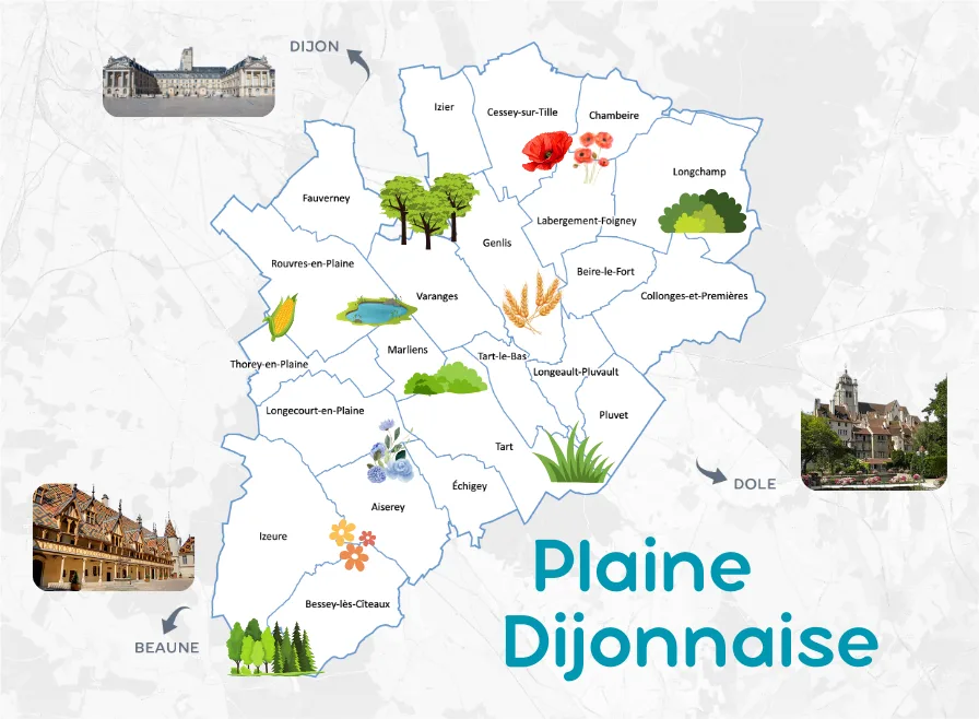 Acheter maison dans la Plaine dijonnaise